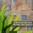 Pedra Ferro Mosaico
